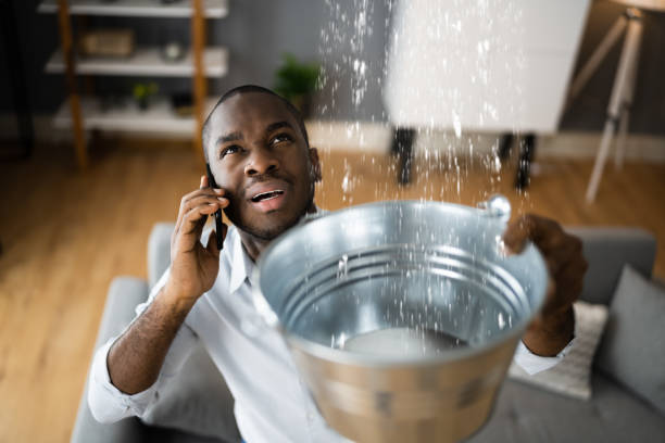 Best Carpet water damage restoration  in Dunnstown, PA