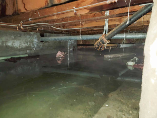 Best Mold removal after water damage  in Dunnstown, PA