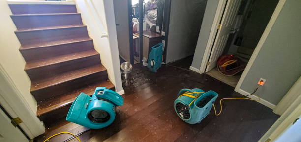 Best Local water damage restoration  in Dunnstown, PA