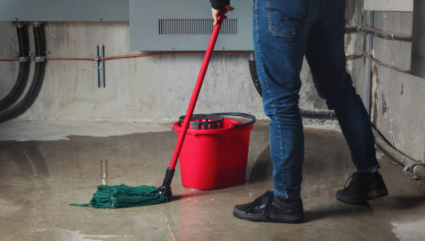 Best Local water damage restoration  in Dunnstown, PA