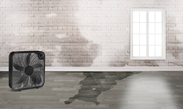 Best Professional water damage repair  in Dunnstown, PA