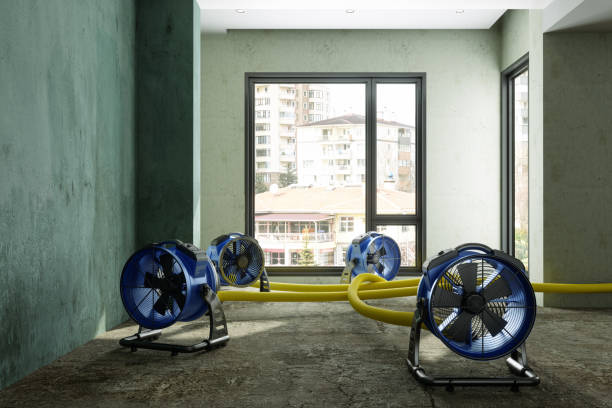 Best Sewage cleanup and water damage restoration  in Dunnstown, PA